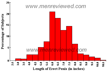 average penis size chart